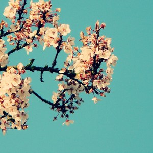 裸体无码大乳房av天堂原神无尽
